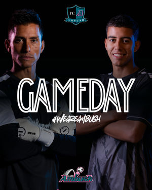 Image post by @stlouisambush on Instagram