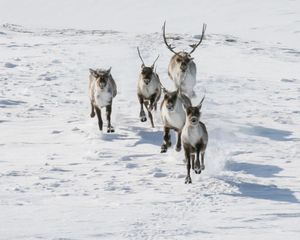 Image post by @nationalparktrust on Instagram