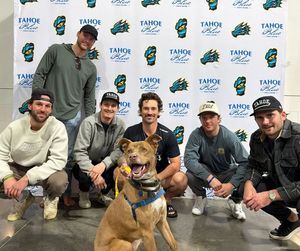 Image post by @knightmonsters on Instagram