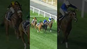 Video post by @worldhorseracing on YouTube