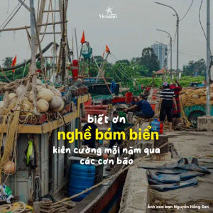 Image post by @checkinvietnam on TikTok