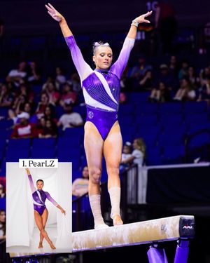 Image post by @lsugym on Instagram