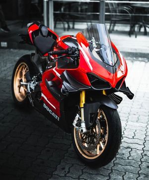 Image post by @panigalers on Instagram