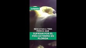 Video post by @laopinionla on YouTube