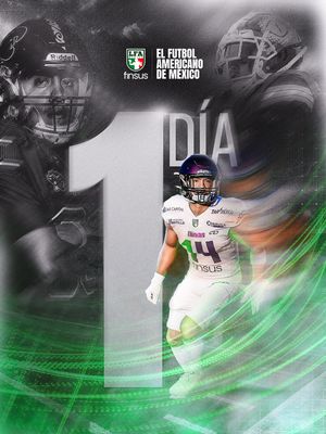 Image post by @lfa_mex on Instagram