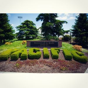 Image post by @pacifictigers on Instagram