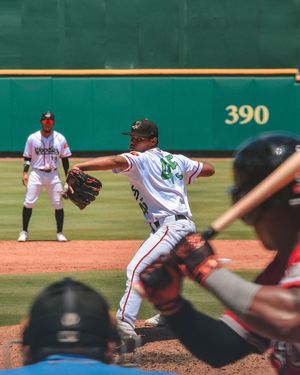 Image post by @gowoodducks on Instagram
