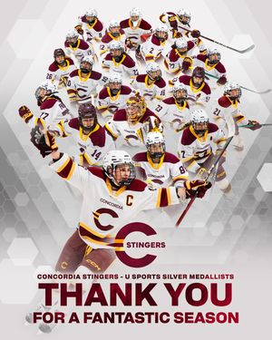 Image post by @the_stingers on Instagram