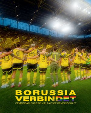 Image post by @BVB on Twitter