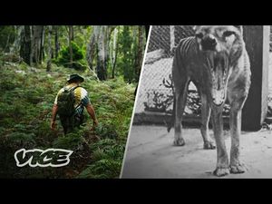 Video post by @VICE on YouTube