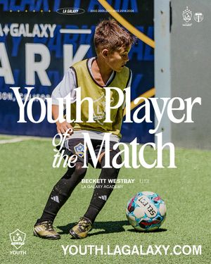 Image post by @LAGalaxy on Twitter