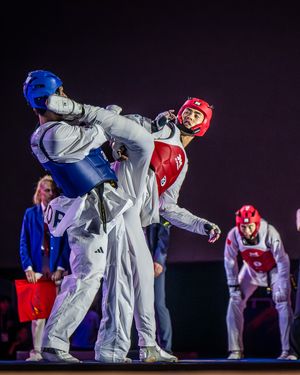 Image post by @worldtaekwondo on Instagram