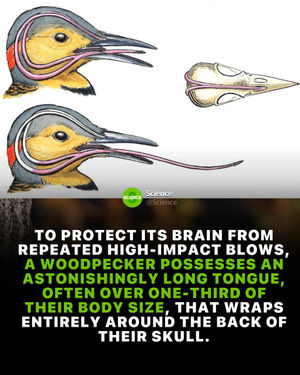 Image post by @science on Instagram