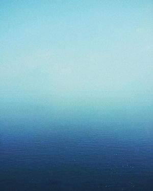 Image post by @kaylebhashbandara on Instagram