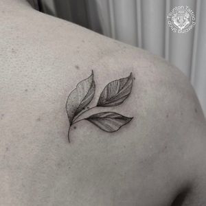 Image post by @tauntontattooco on Instagram