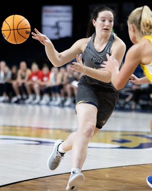 Image post by @msubobcatswbb on Instagram