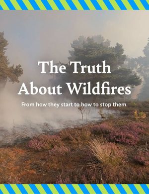 Image post by @rspb on Instagram