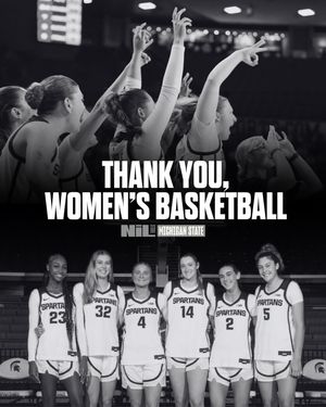 Image post by @msu.nil.store on Instagram