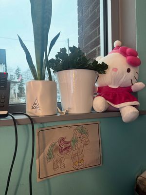 Image post by @mandimurakami on Instagram