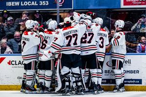 Image post by @ohlicedogs on Instagram