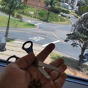 Image post by @doserraopromundo on Instagram