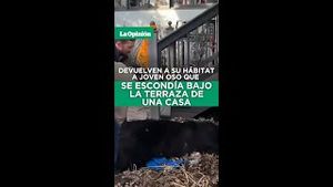 Video post by @laopinionla on YouTube