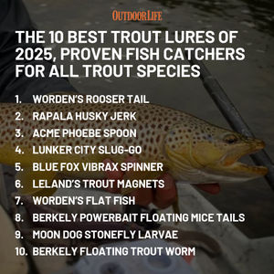 Image post by @outdoor_life on Instagram