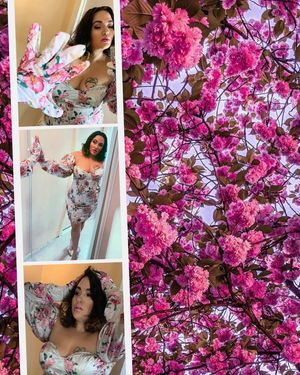 Image post by @loralyee on Instagram