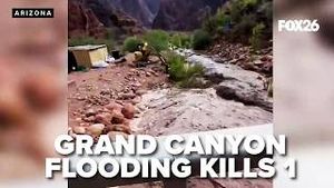 Video post by @kmphfox26 on YouTube