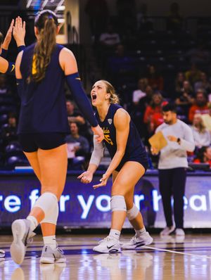 Image post by @toledo_vb on Instagram