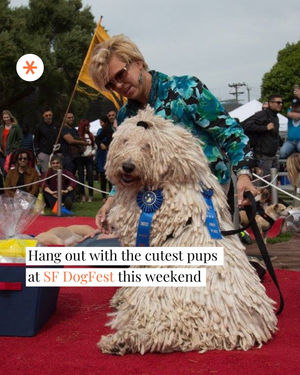 Image post by @secret_sanfrancisco on Instagram