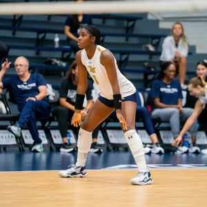 Image post by @gtvolleyball on Instagram