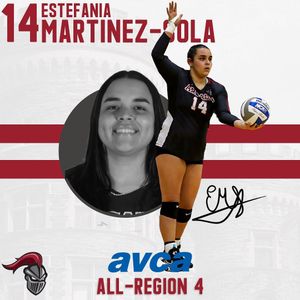 Image post by @arcadia_knights on Instagram