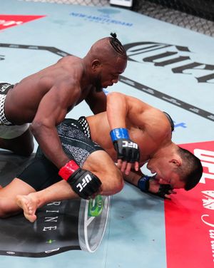 Image post by @ufcfra on Instagram