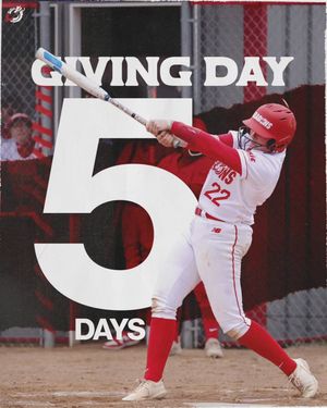 Image post by @msumdragons on Instagram