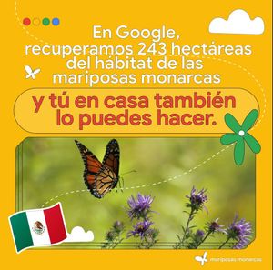 Image post by @googleespanol on Instagram