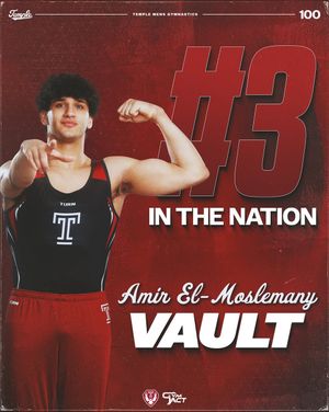 Image post by @temple_mgym on Instagram