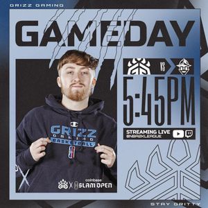 Image post by @grizzgaming on Instagram