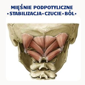 Image post by @neurochirurg_litak on Instagram
