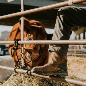Image post by @justinboots_ on Instagram