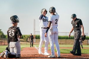 Image post by @OwlzNoCo on Twitter