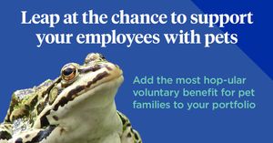 Image post by @company/nationwidepet on LinkedIn