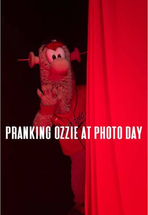 Video post by @braves on TikTok