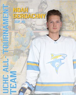 Image post by @liumhockey on Instagram