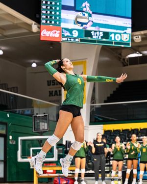 Image post by @usfdonsvb on Instagram