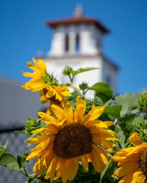 Image post by @montclairstateu on Instagram