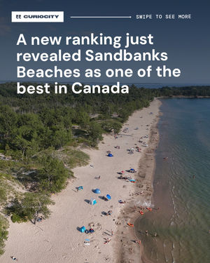 Image post by @curiocitytoronto on Instagram