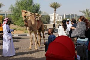 Image post by @InAbuDhabi on Twitter