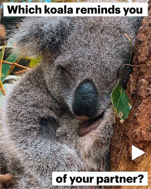 Video post by @ifawglobal on TikTok