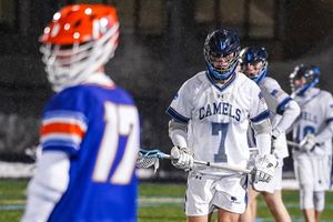 Image post by @hamsuff on Instagram